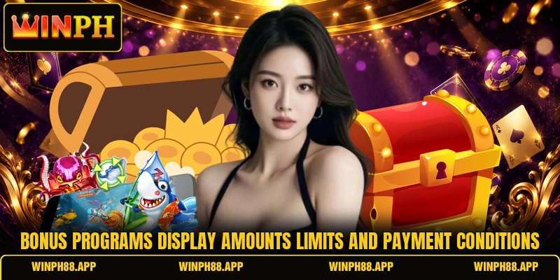Bonus programs display amounts limits and payment conditions Bonus programs display amounts limits and payment conditions