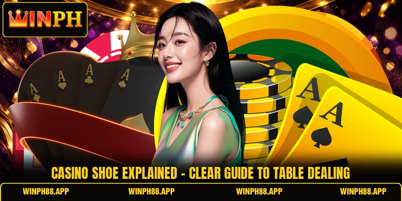 Casino Shoe Explained - Clear Guide To Table Dealing