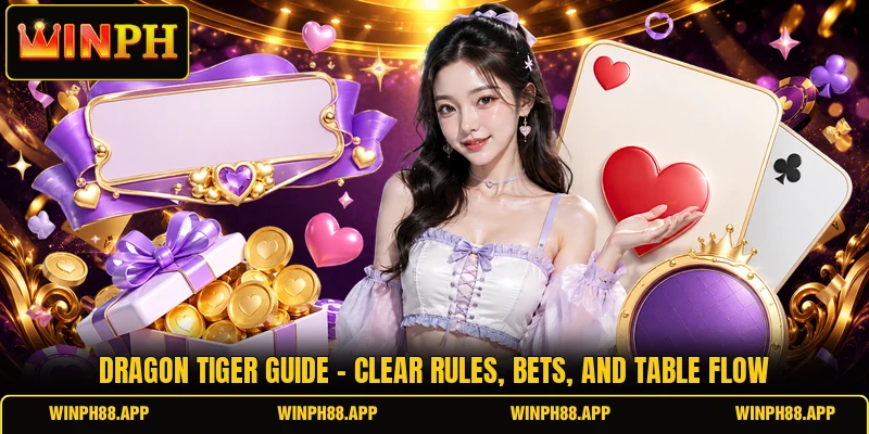 Dragon Tiger Guide - Clear Rules, Bets, And Table Flow