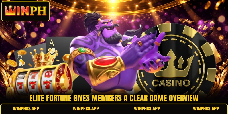 Elite Fortune gives members a clear game overview