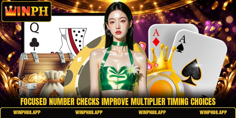Focused number checks improve multiplier timing choices
