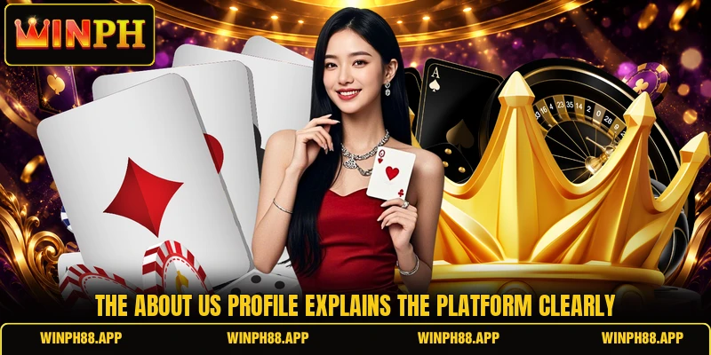 The about us profile explains the platform clearly The about us profile explains the platform clearly